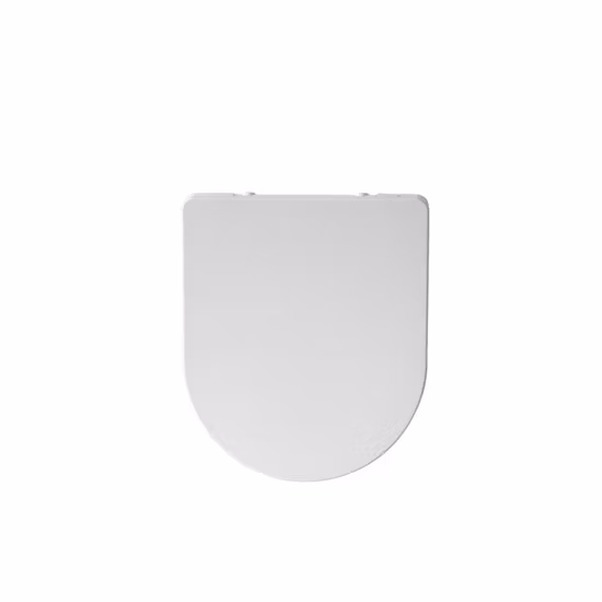 Sedile WC a forma di D con chiusura ammortizzata e cerniera in acciaio inox con chiusura ammortizzata